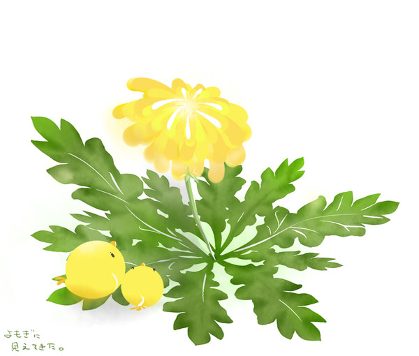 たんぽぽとひよこ