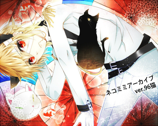 猫耳アーカイブ