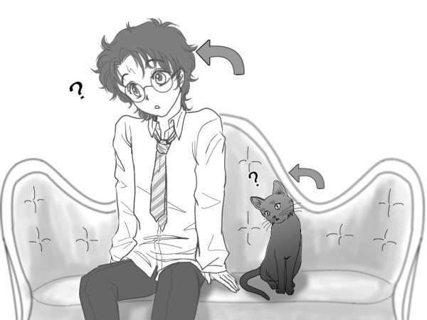 スネハリ猫本