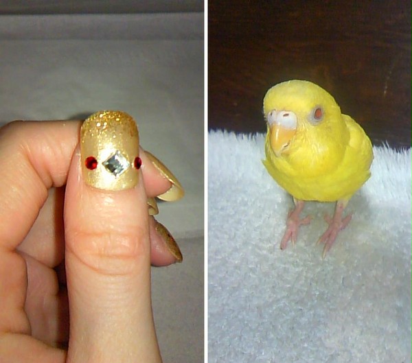 きぃちゃんネイル