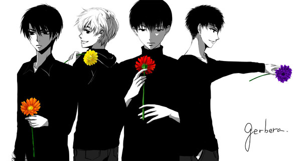 gerbera