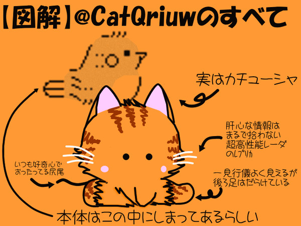 【図解】CatQriuwのすべて