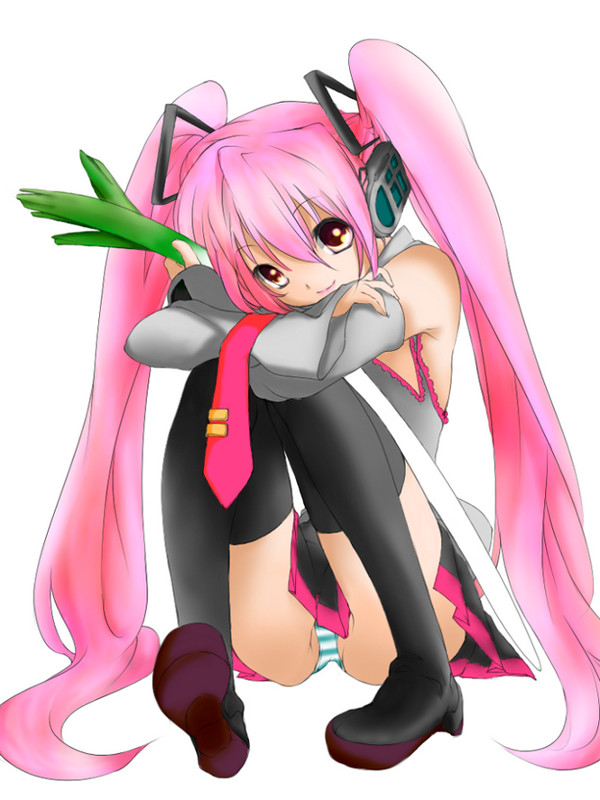 桜の季節
