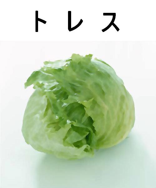 キャベツ