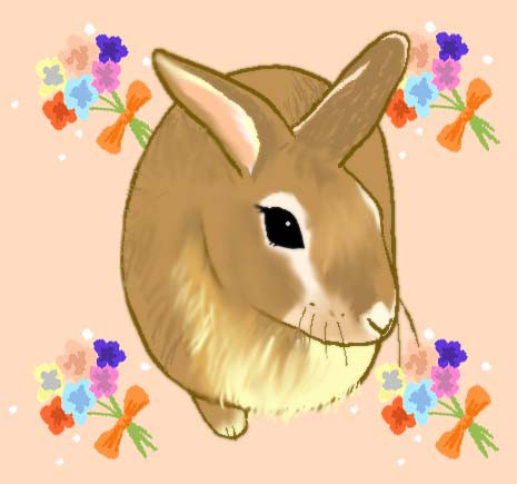 ウサギさん