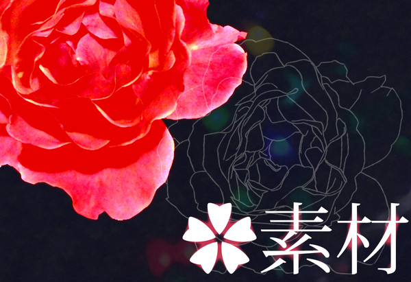 【写真素材】花素材