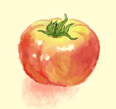 絵本風味