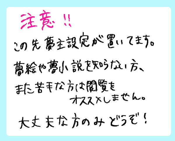 稲妻夢主設定