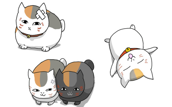 にゃんこ先生詰め