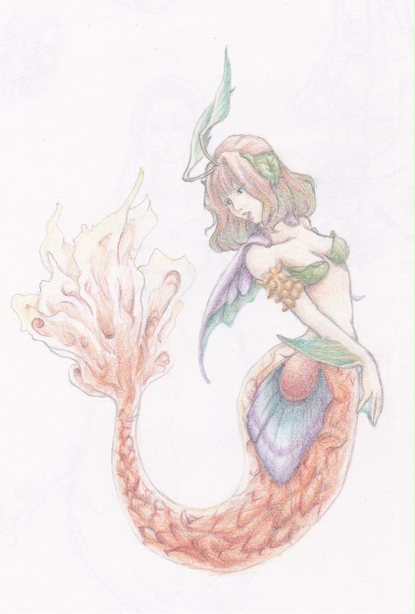 フラメシュ 色鉛筆画