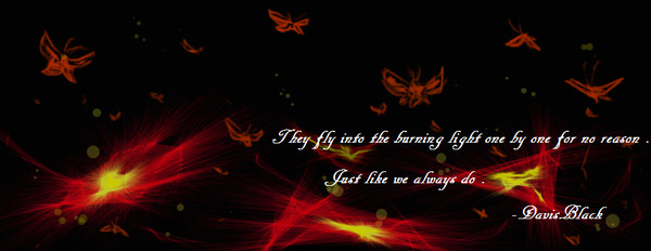 moth and the fire 飛蛾撲火