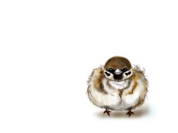 もふりずめ