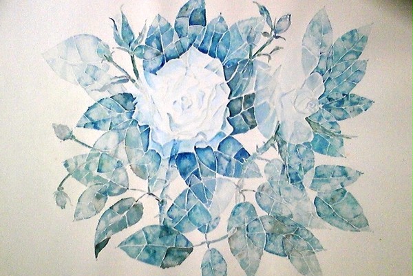 白い薔薇