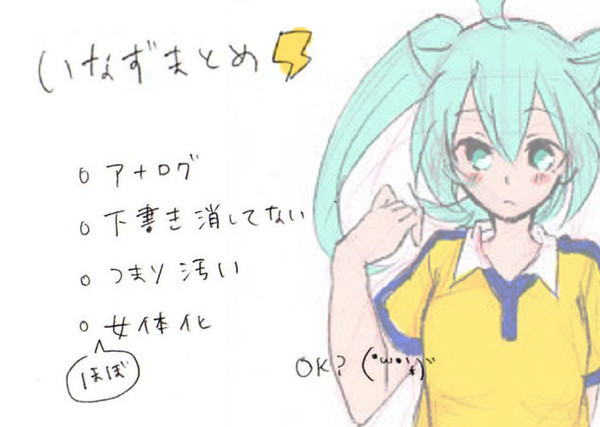 いなずまとめ