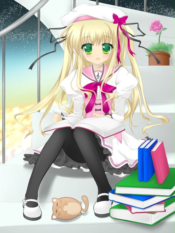 あっ、また来ましたね
