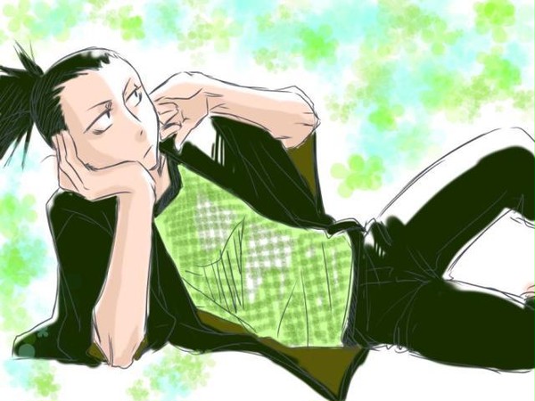 シカマルと【シカナル】