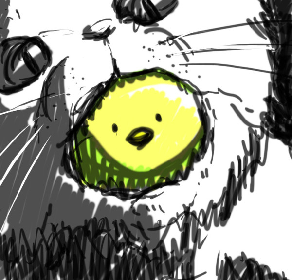 ぴよねこ