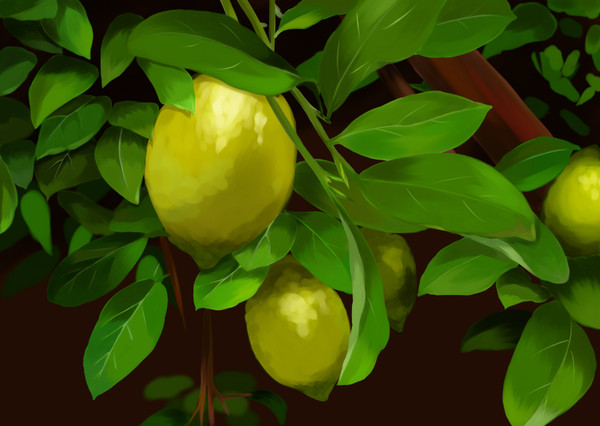 Lemon