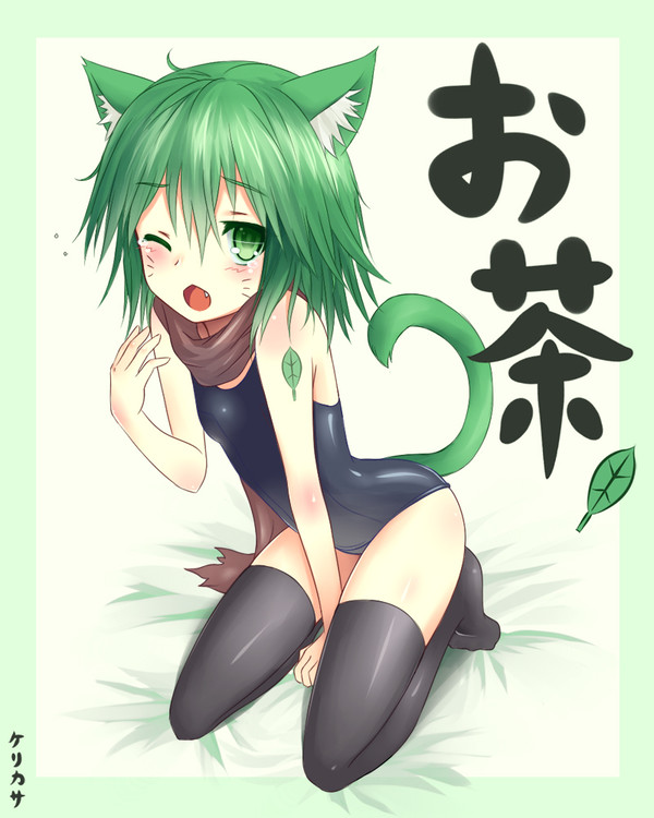 お茶猫