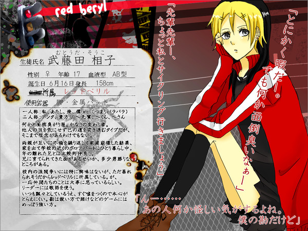 【絵師不】武藤田 相子【レッドベリル】
