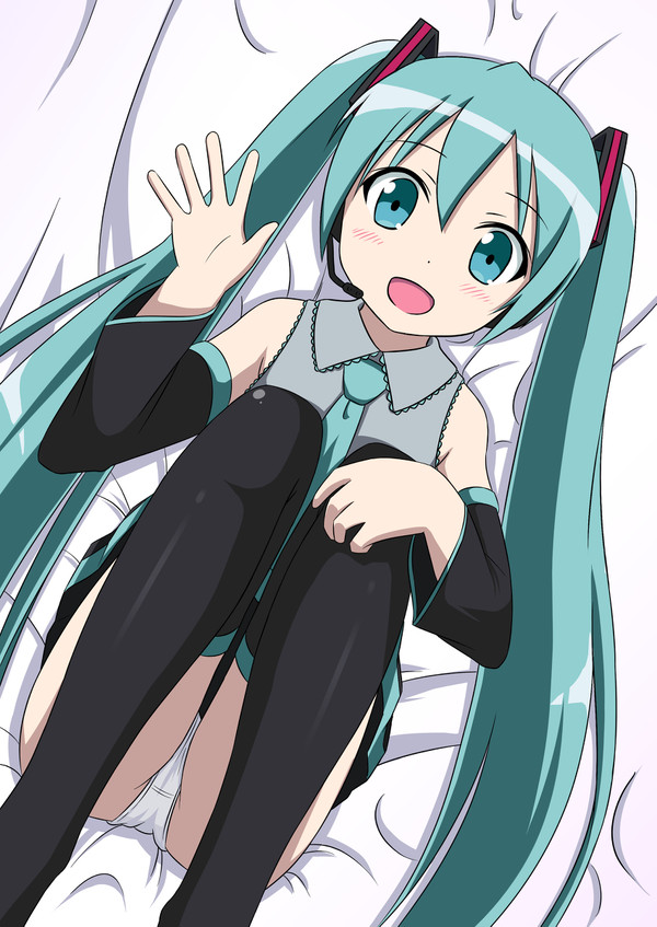 ミクさん、見えてますよ!