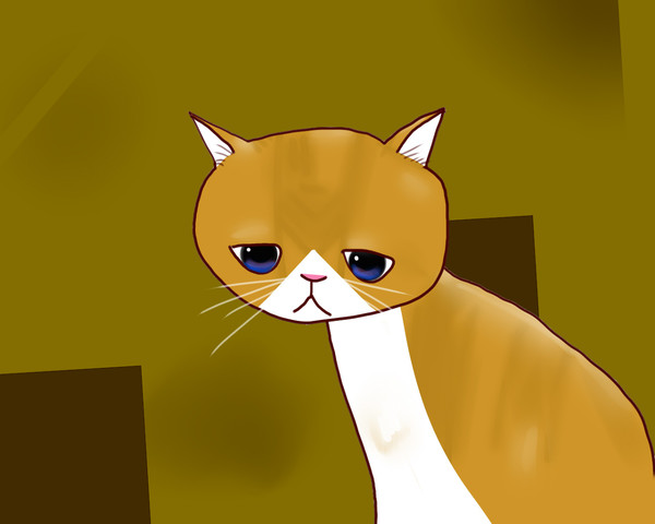 茶色のねこ
