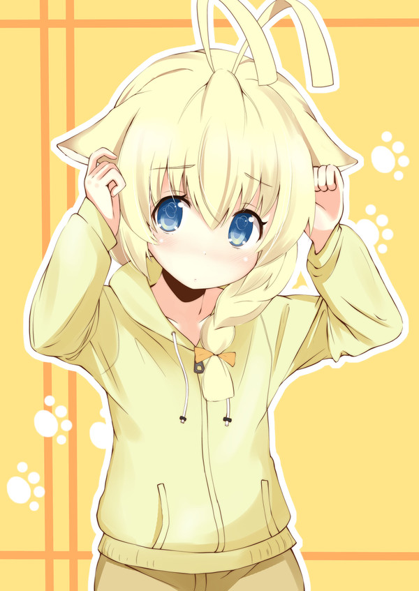 ねこハス太