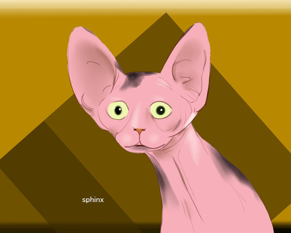 ねこちゃん