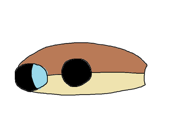 ぜにがめ