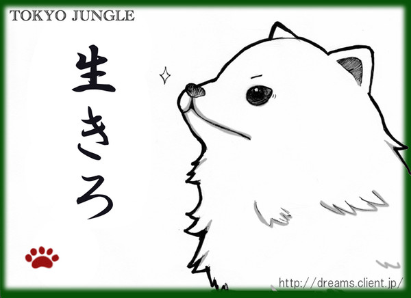 サバイバル