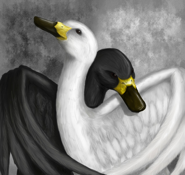 鳥20120611