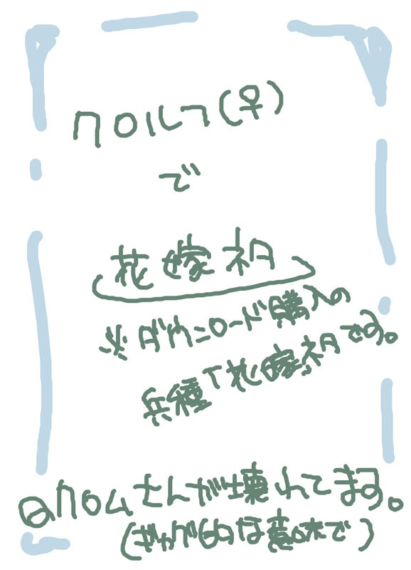 きみの舞う姿を