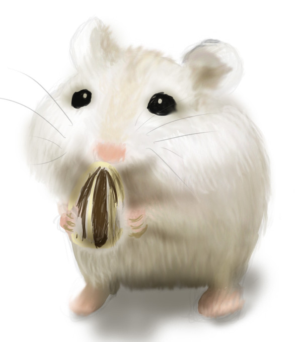 はむすたー