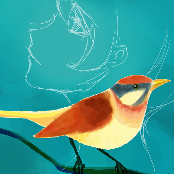 The Bird