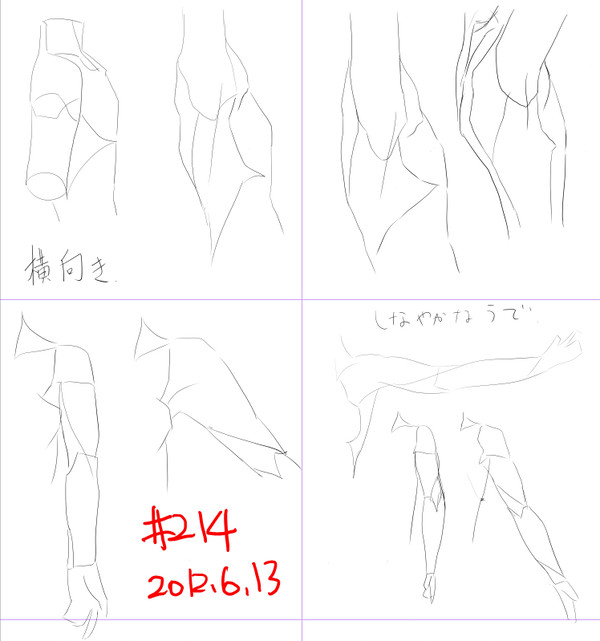 #214 肩~腕