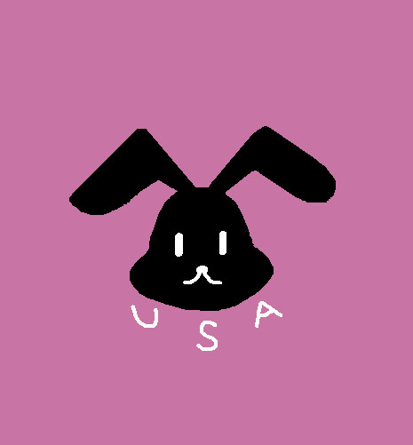 ＵＳＡ