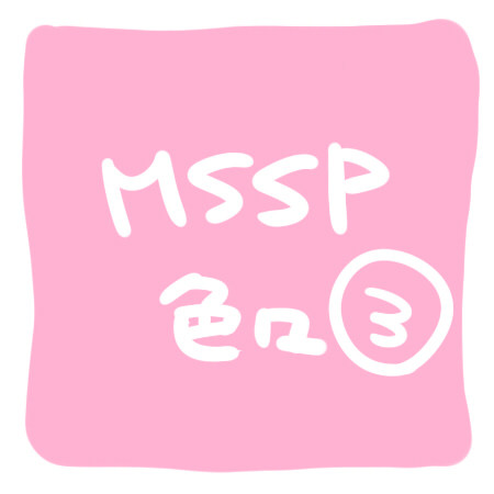 MSSP絵3