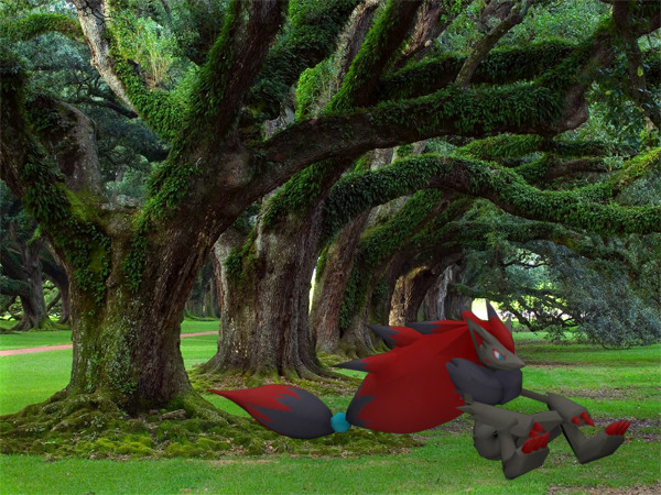 A sitted zoroark