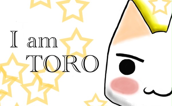 I am TORO