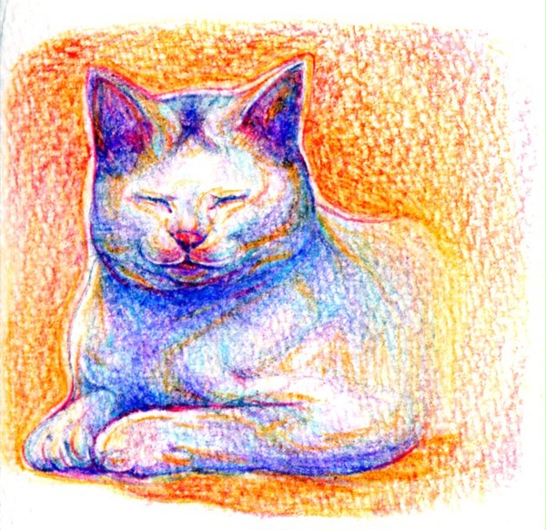 ねむるねこ２