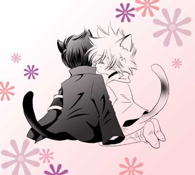猫二匹