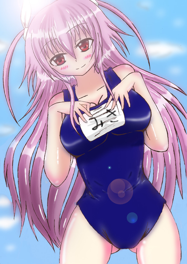 夏だ!水着だ!スク水だ!!