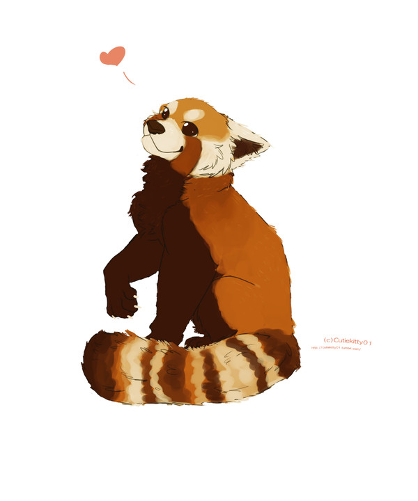 Panda Love