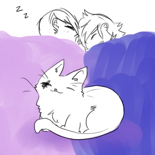 prrrrnt