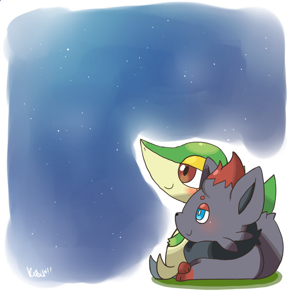 Star Gazing