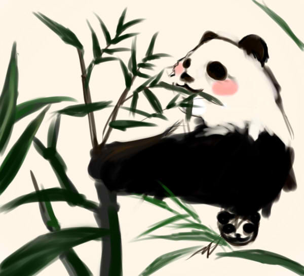 パンダ