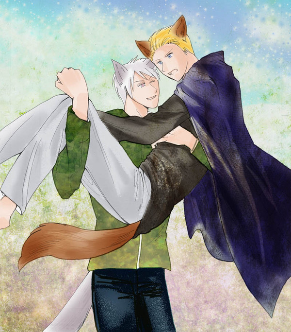 Die Familie des Wolfes 【普独】