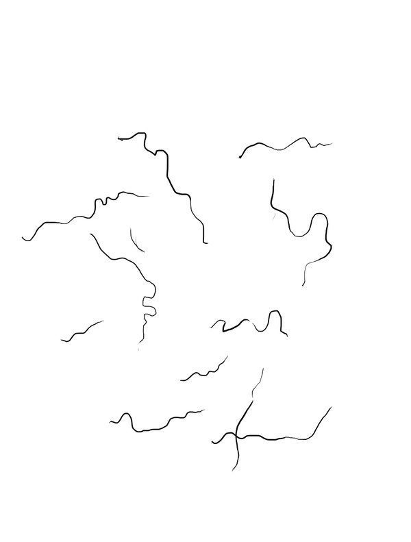 ただの線