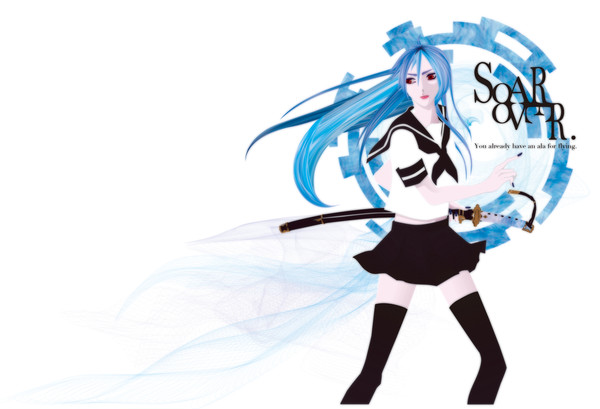 SOAR OVER