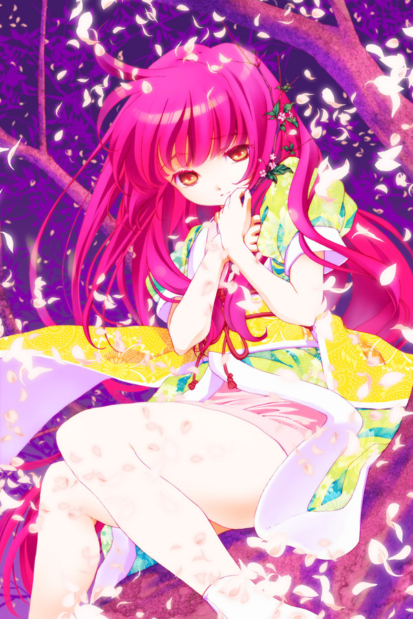 雛菊さん2